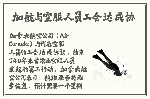 粉色视频在线观看高清观看视频